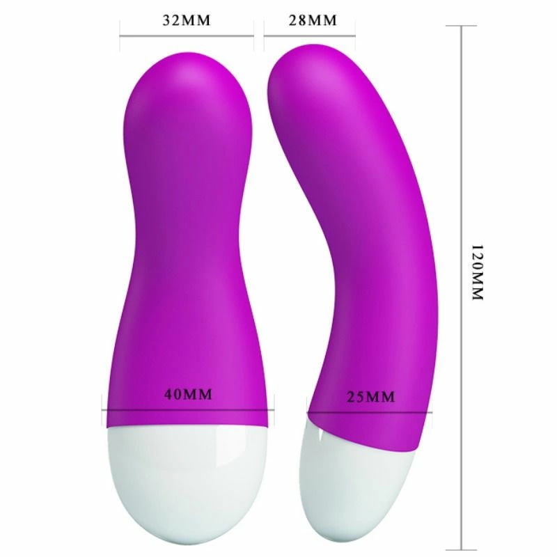 Pretty Love Ian Intimate Silicone Stimulator with 30 Modes USB Purple