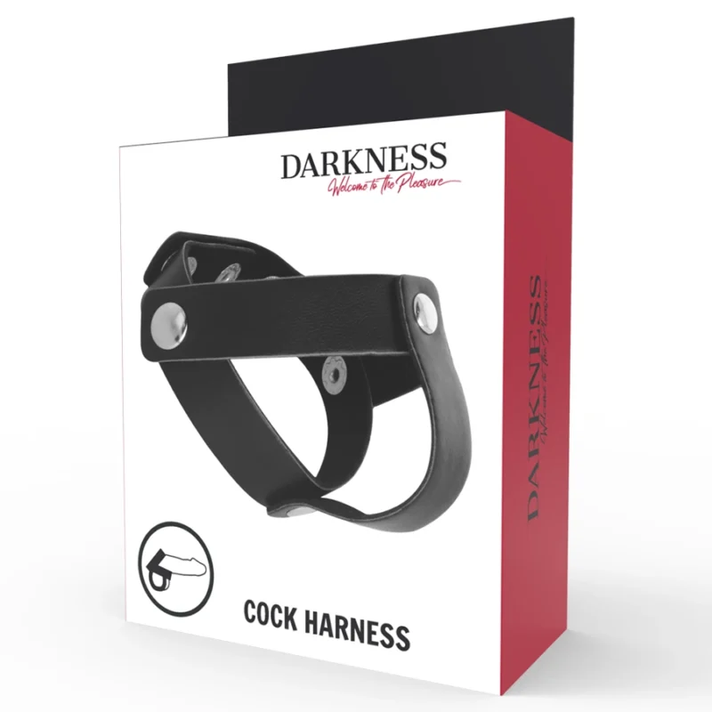 Darkness Adjustable Leather Dual Support Ring - Black & Silver, Universal Size