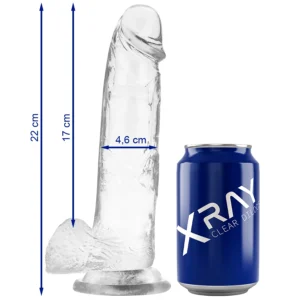 XRAY Transparent Intimate Model with Anatomical Base 22cm x 4.6cm