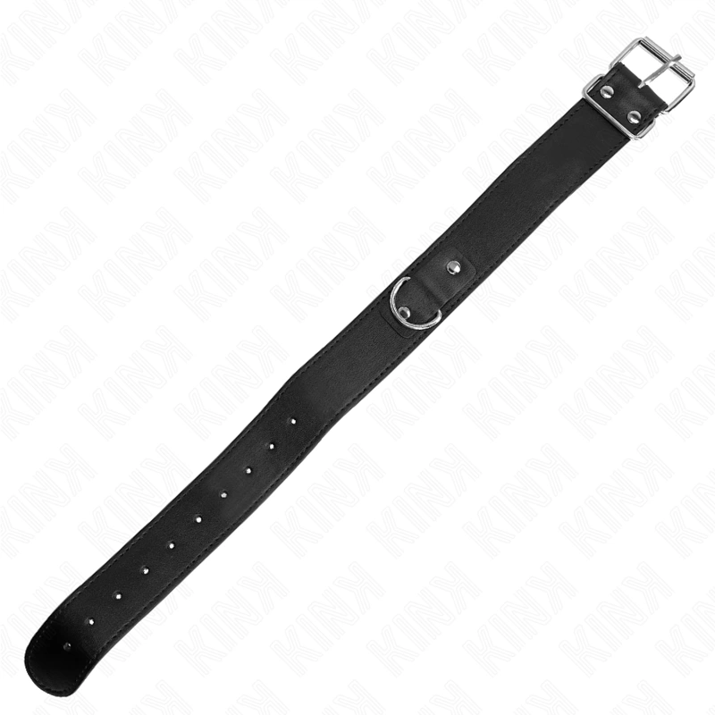 KINK Adjustable Black Collar and Leash Set, 116 cm Strap, 32-50 cm Fit