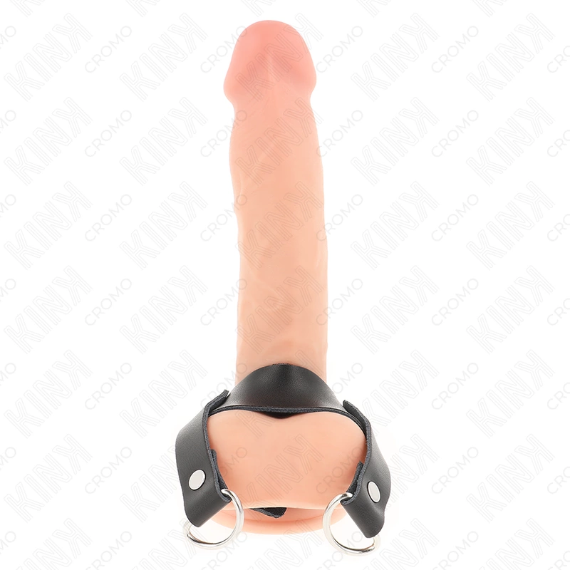 KINK D formos atraminis žiedas 18,5 x 3,3 cm – nerūdijančio plieno anatominis modelis