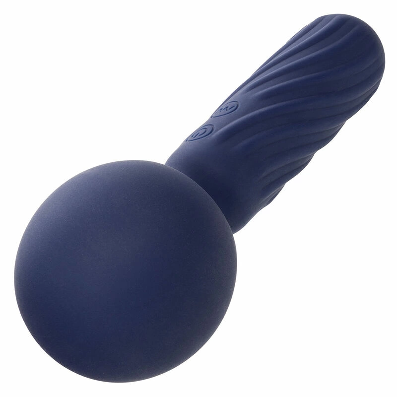 CalExotics Charisma Seduction Massager 12 režimų, atsparus vandeniui, violetinis
