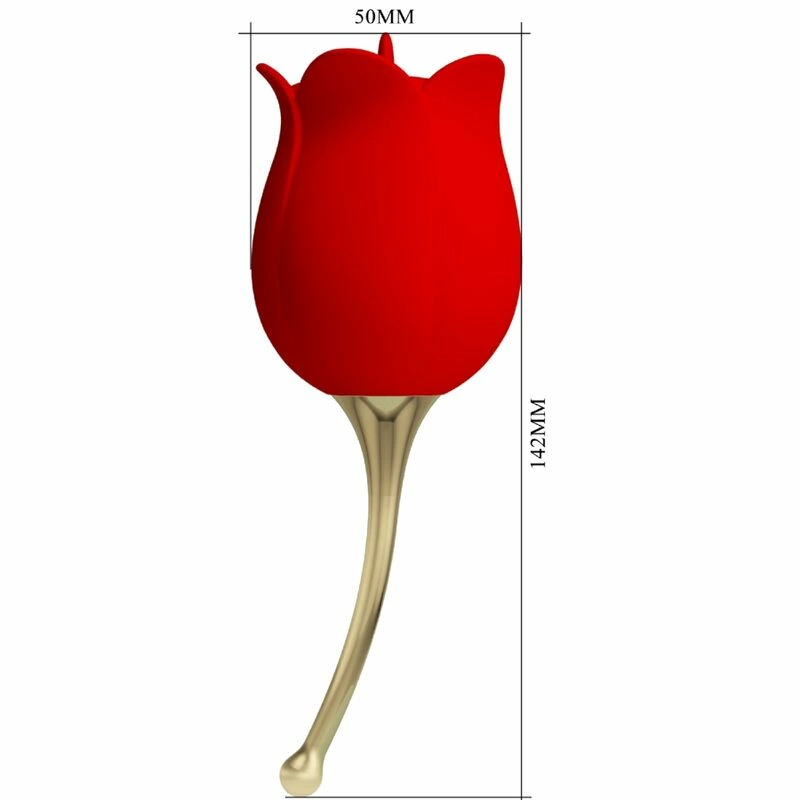 Pretty Love Rose Lover Intimate Rose Massager 12 Modes Red Silicone USB