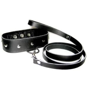Sportsheets Leather Collar & Leash Set with Faux Fur Lining, Adjustable