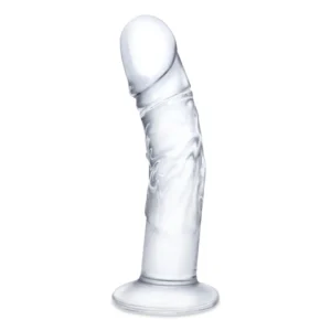 Glas Curved Glass Model with Vein Details 18cm - Transparent, Anatomical Shape