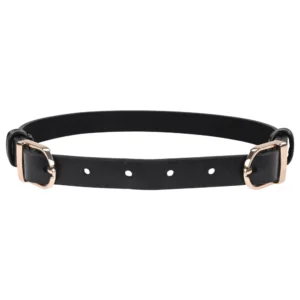 Sportsheets S&M Double Buckle Day Collar Black Adjustable Gold Detail