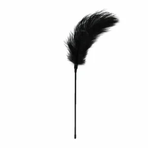 Ouch! Black Feather Sensation Teaser - Soft Touch, Elegant Design