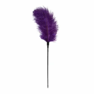 EasyToys Feather Tickler Purple - Sensual Touch Accessory, 27 cm