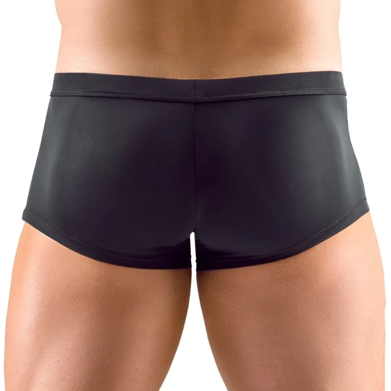 Svenjoyment Men’s Microfibre Pants S with Transparent Stripe Inserts