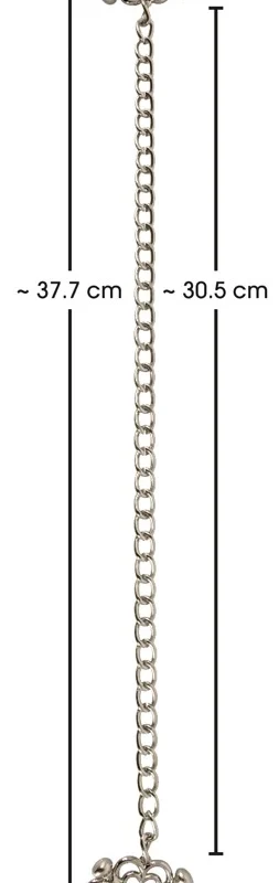 Bad Kitty Stainless Steel Nipple Jewellery with Adjustable Chain 30.5cm