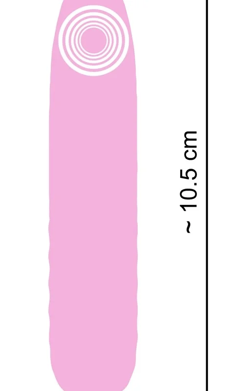 Cuties Mini Vibrator Rose 5th Gen - Compact Silicone Model, 10 Modes