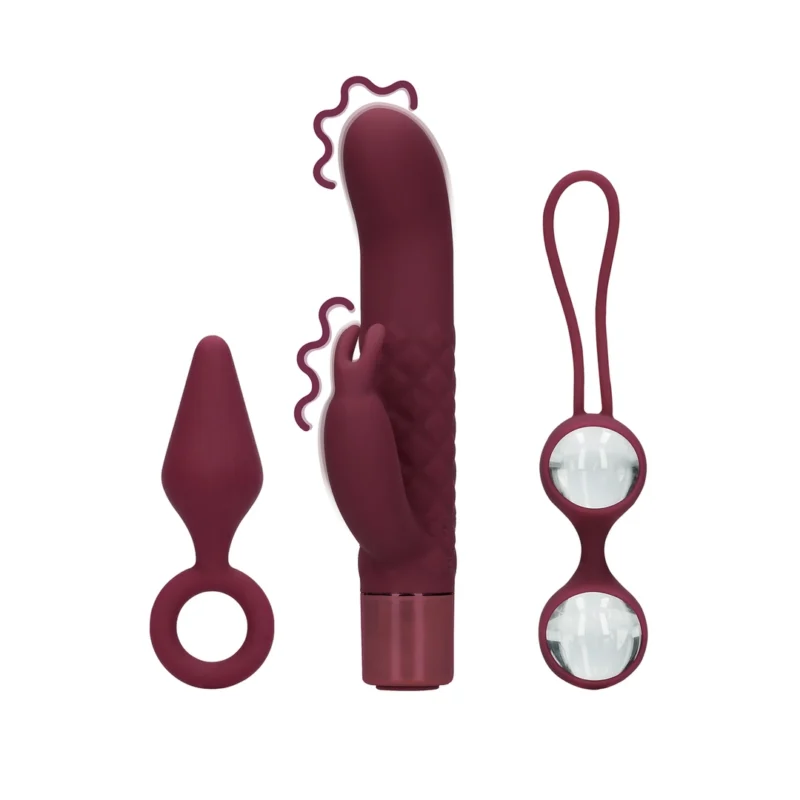Satisfyer (S)explore Intimate Set for Her Dark Cherry Multi-Piece Kit