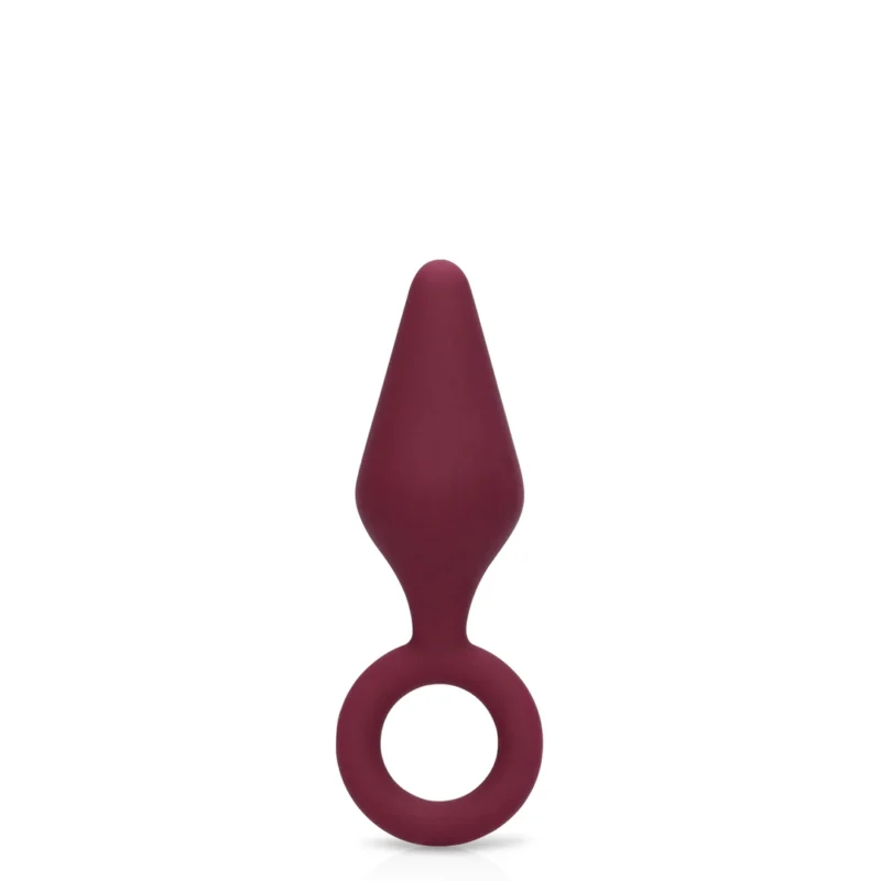 Satisfyer (S)explore Intimate Set for Her Dark Cherry Multi-Piece Kit
