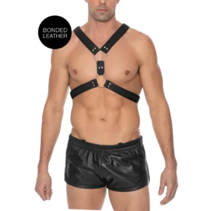 Scottish Leather Adjustable Harness S/M - Stainless Steel Details