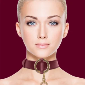 OUCH HALO Premium Collar and Leash Set - Gold Accents, Adjustable Fit