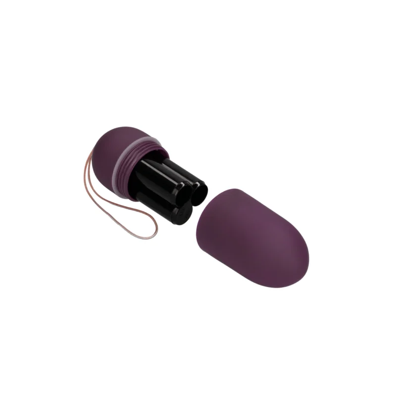 Senza Vibrating Egg L Purple - 10-Mode Wireless Remote System