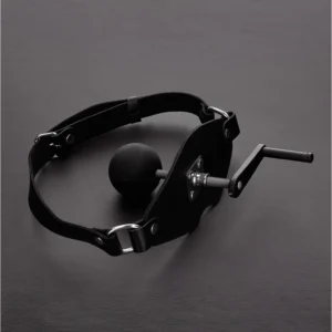 Shots Ouch! Adjustable Ball Gag with Leather Strap Black 8714273535757