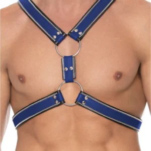 Z Series Scottish Leather Harness L/XL with Stainless Steel Details