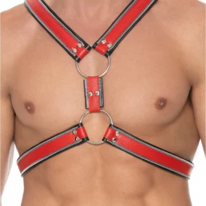 Z Series Scottish Leather Harness S/M - Adjustable Stainless Steel Details